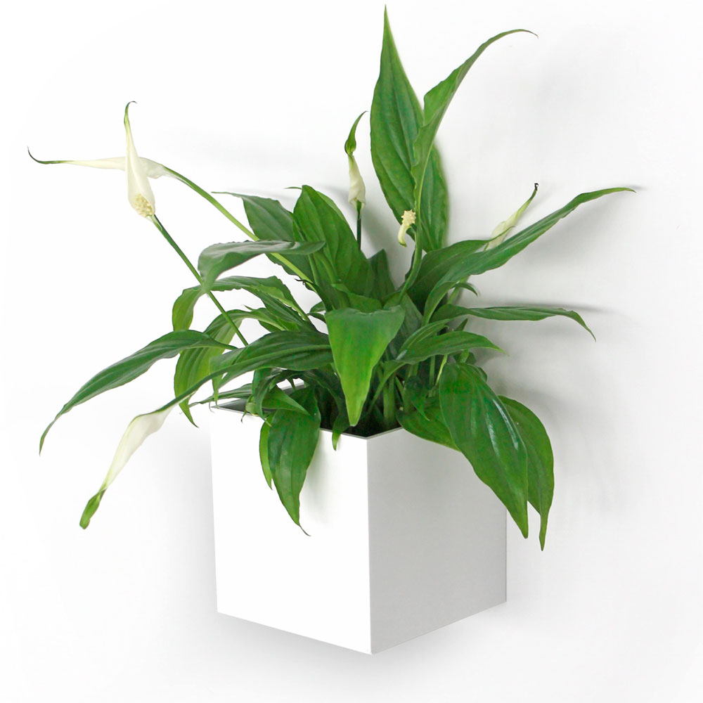 Kosmos - Cubo Magnetico Laccato 9,5 cm